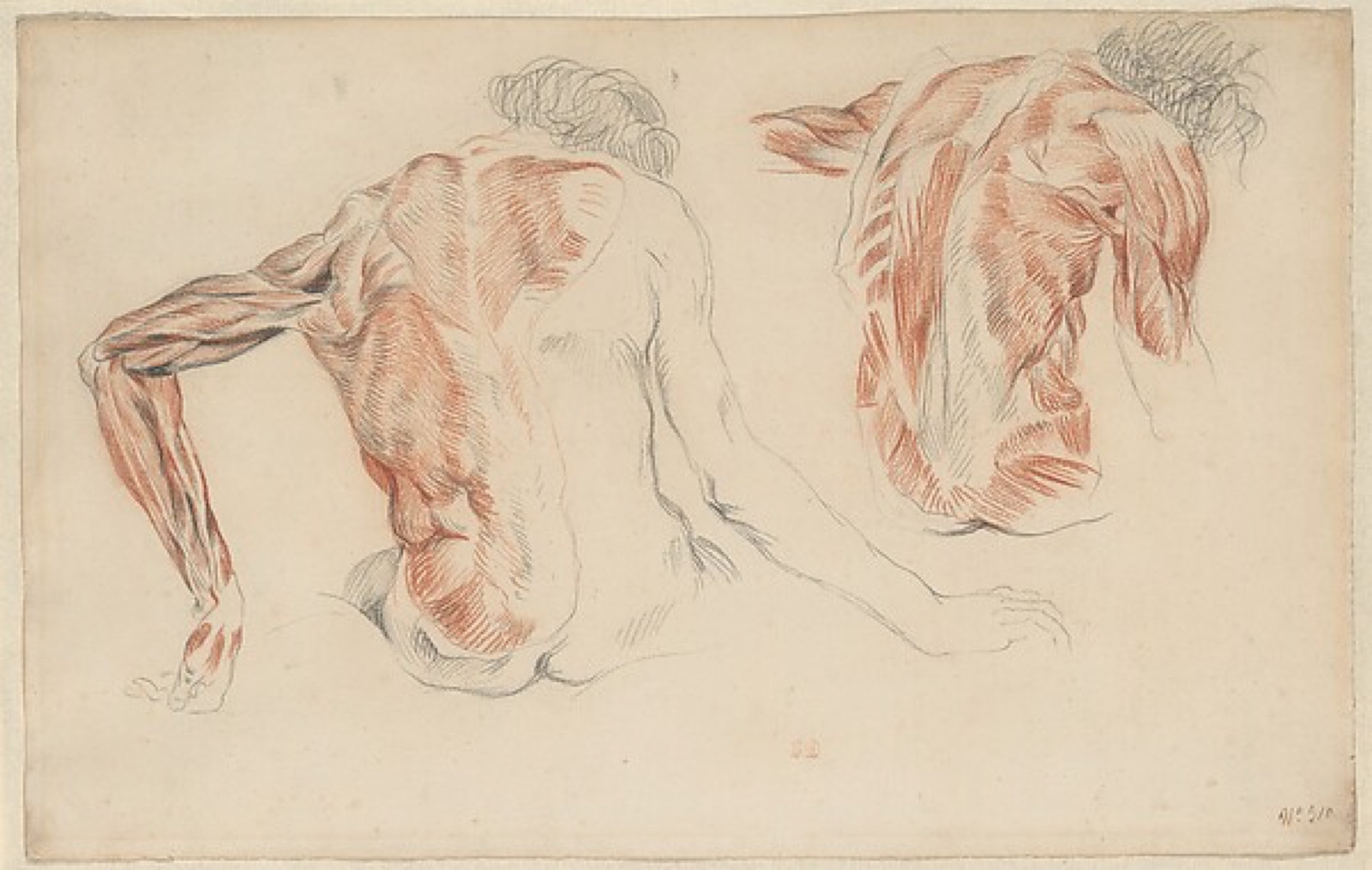Ecorché: The Backs of Two Seated Figures — Eugène Delacroix