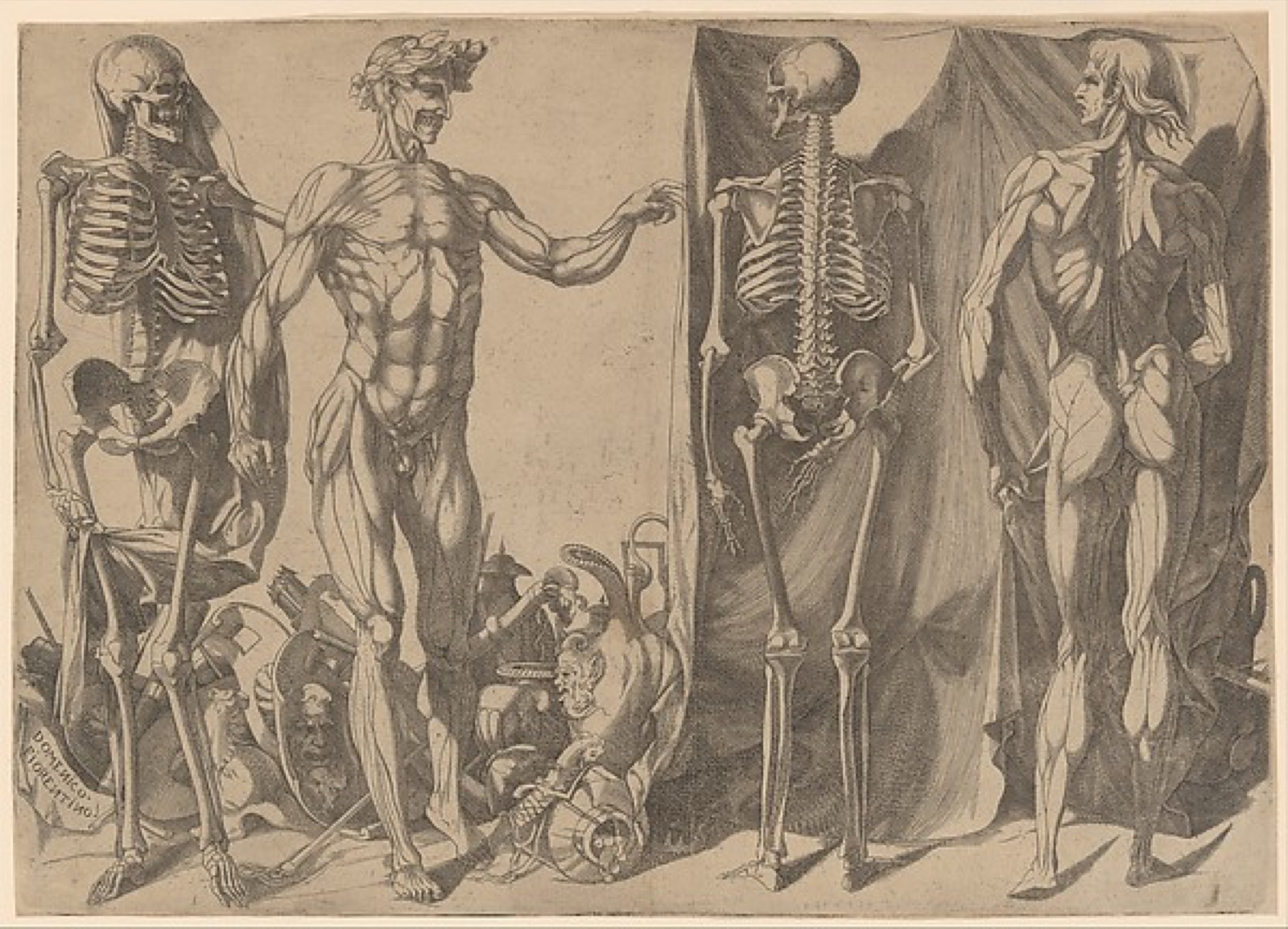 Two Flayed Men and Their Skeletons — Domenico Barbiere