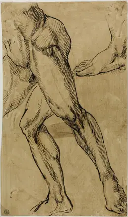 Legs and Feet of Male Nude — Possibly after Michelangelo Buonarroti