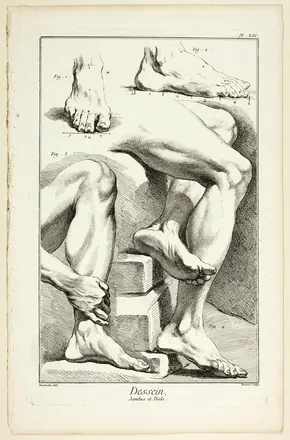 Design: Legs and Feet, from Encyclopédie