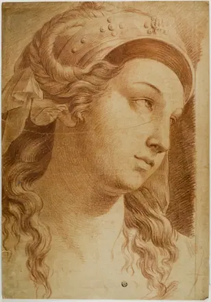 Head of Comity — After Raffaello Sanzio, called Raphael