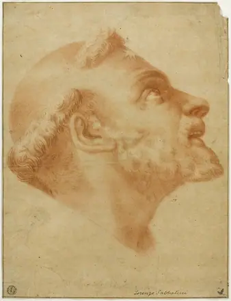Upturned Head of Saint Dominic — Lorenzo Sabbatini, called Lorenzino da Bologna, after