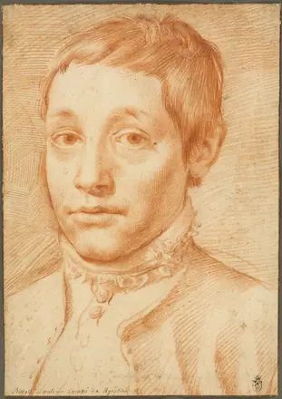 Portrait of the Artist's Son, Antonio Carracci