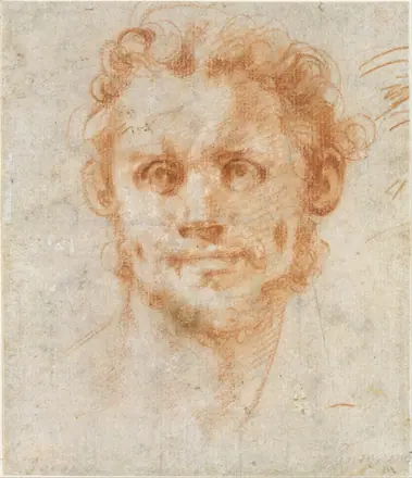 Study of a Man's Head MET DT4330 — Creator:Jacopo da Pontormo