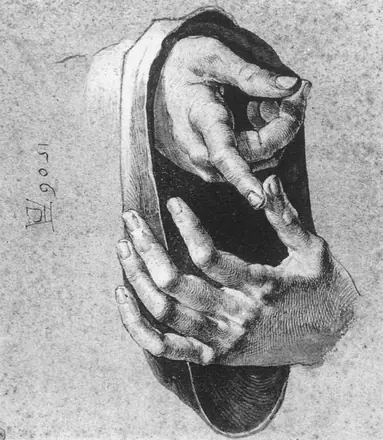 Dürer, Albrecht - Study of Hands - 1506 — Albrecht Dürer