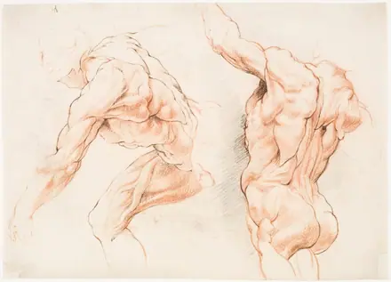 To anatomiske studier af en mand, der læner sig mod venstre, og en anden set bagfra med løftet arm (écorché) — Willem Panneels