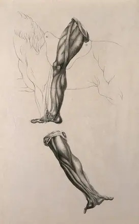 Écorché leg of man riding a horse, and écorché hand with outstretched palm. Pencil and ink wash drawing, after an unidentified work on anatomy, ca. 1830(?). — Unknown artist
