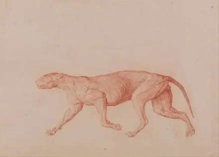 George Stubbs - A Comparative Anatomical Exposition of the Structure of the Human Body with That of a Tiger and a Co... - Google Art Project (2345936) — George Stubbs