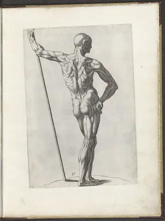 Tekenvoorbeeld van een staand écorché op de rug gezien Varie figvre academiche Diversche figvren wt de academia (serietitel), RP-P-1998-225 — Unknown artist