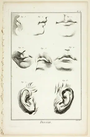 Design: Facial Anatomy from Encyclopédie