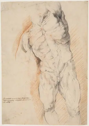 Anatomisk studie (ècorché). En stående, flået mand med løftet venstre arm set forfra — Willem Panneels