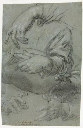 Carletto Caliari - Studies of Hands (recto) - 1929.549.a - Cleveland Museum of Art — Carletto Caliari