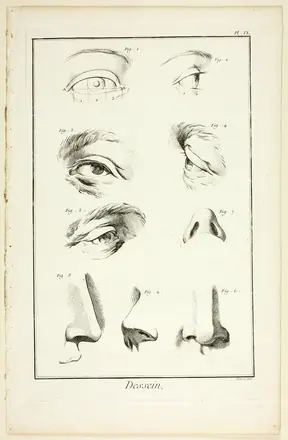 Design: Facial Anatomy from Encyclopédie — Benoît-Louis Prévost