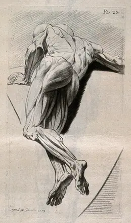 An écorché figure, lying on its side: foreshortened view. Crayon manner print by J. Gamelin after himself, 1779. — Unknown artist