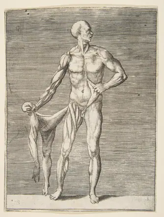 Flayed man seen from the front, holding the skin of his right arm and leg