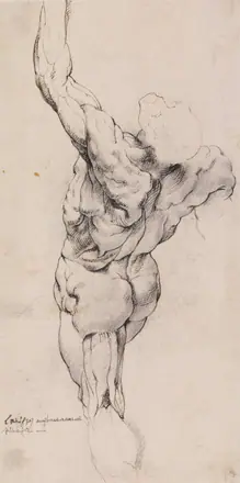 Anatomisk studie (écorché). En gående, flået mand set bagfra, halvt venstredrejet — Willem Panneels