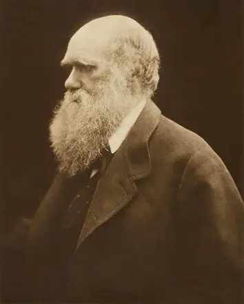 Charles Darwin by Julia Margaret Cameron, c. 1868 — Julia Margaret Cameron / Adam Cuerden