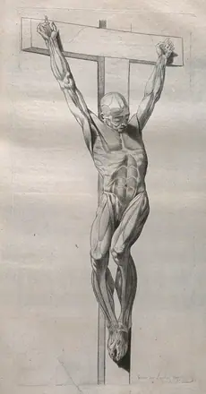 A crucified écorché figure. Stipple print by Lavalée after J. Gamelin, 1778/1779. — Unknown artist