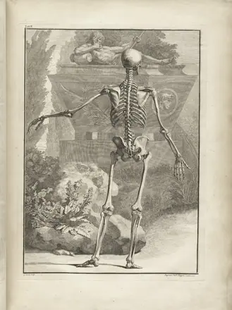 Albinus t02 — Bernhard Seigfried Albinus