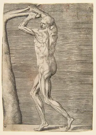 Flayed man holding the branch of a tree