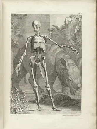Albinus t04 — Bernhard Seigfried Albinus