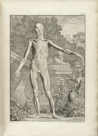 Albinus t02a — Bernhard Seigfried Albinus