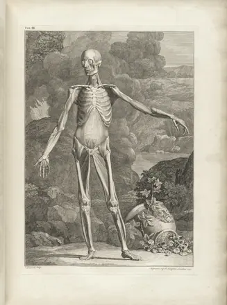 Albinus t03a — Bernhard Seigfried Albinus