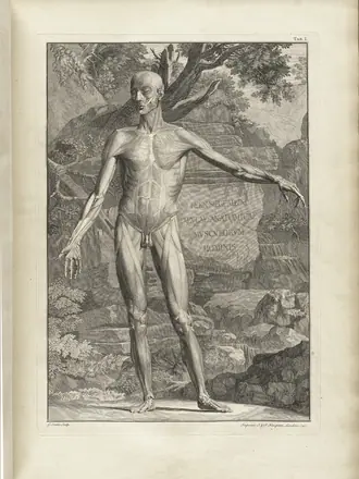 Albinus t01a — Bernhard Seigfried Albinus