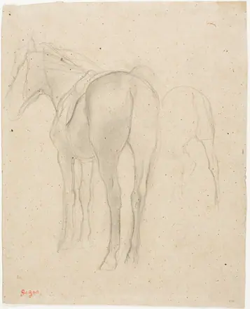 Studies of a Horse — Hilaire Germain Edgar Degas