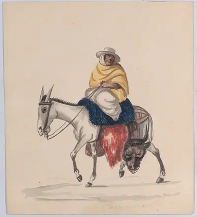 A butcher riding a donkey, from a group of drawings depicting Peruvian costume MET DP883538 — Attributed to Pancho Fierro