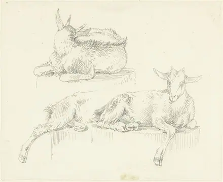 Drie studies van liggende geiten, RP-T-1938-26 — Joseph August Knip