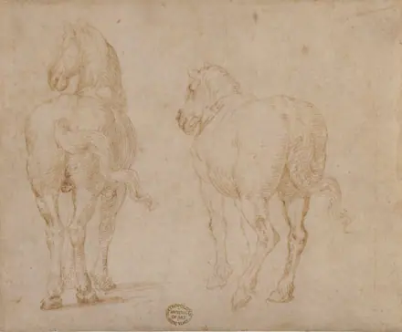 Horses. MET 80.3.318 — Parmigianino / Formerly attributed to Francesco Allegrini da Gubbio