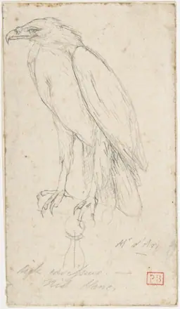 A Golden Eagle MET DP807609 — Charles Méryon