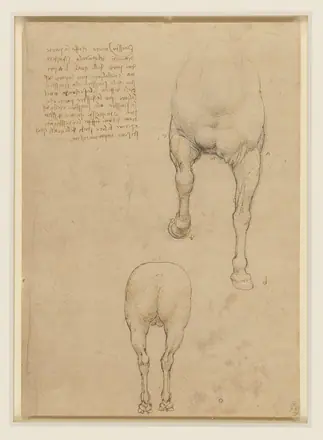Leonardo da Vinci - RCIN 912303, Studies of a horse c.1517-18 — Leonardo da Vinci