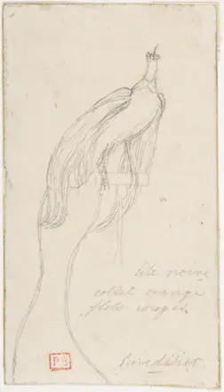 A Bird of Paradise MET DP807608 — Charles Méryon