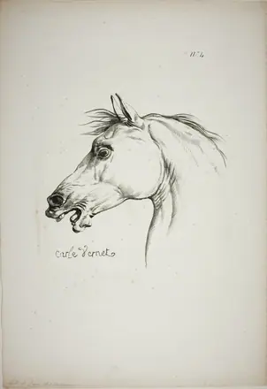 Detail of Horse's Head, Enlarged to Triple Size, Norman Royal Guard, No. 4 — Carle Vernet