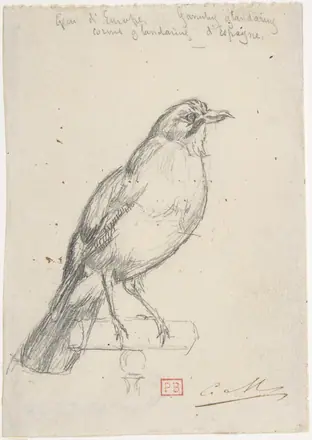 A European Jay MET DP807607 — Charles Méryon
