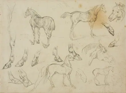 Sketches of a Horse — Jean Louis André Théodore Géricault