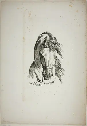 Detail of Horse's Head, Enlarged to Triple Size, Norman Royal Guard, No. 1 — Carle Vernet