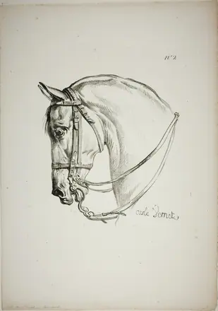 Detail of Horse's Head, Enlarged to Triple Size, Norman Royal Guard, No. 2 — Carle Vernet