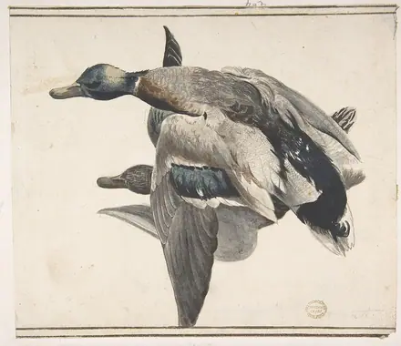 Two Dead Ducks. MET DP809441 — Giorgio Duranti
