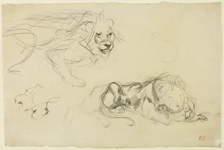 Studies of Lions — Eugène Delacroix