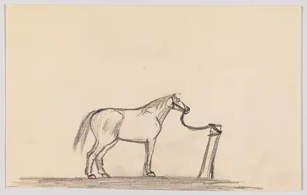 (Study of a Horse Tied to a Post) by Edward Hopper — Edward Hopper