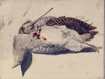 Two Dead Birds (A Quail and a Long-Beaked Bird). MET 80.3.205 — Giorgio Duranti
