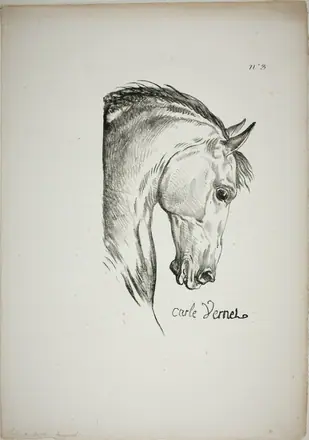 Detail of Horse's Head, Enlarged to Triple Size, Norman Royal Guard, No. 3 — Carle Vernet