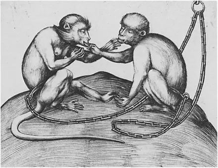 Israhel van Meckenem - Two Monkeys — Israhel van Meckenem