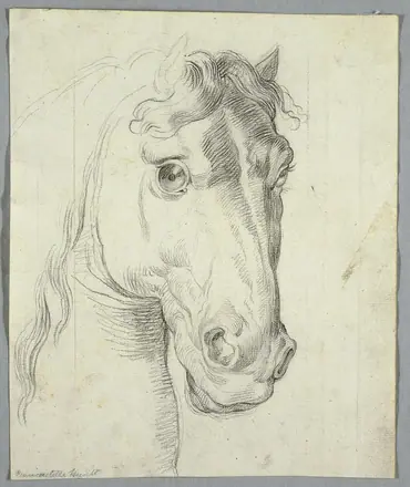 Drawing, Study of a Horse, 1810–1820 (CH 18126603) — Unknown artist