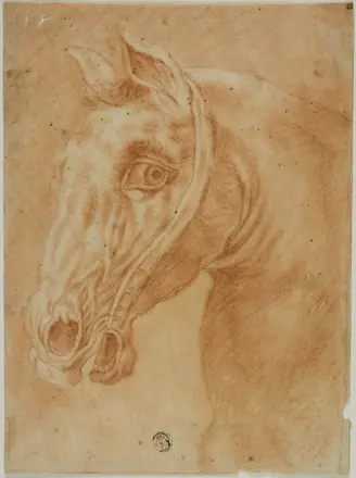 Head of a Horse — Style of Charles Parrocel
