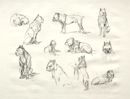 Study of Dogs — August Gaul