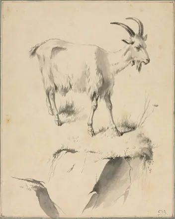 Study of a Goat — Jean Jacques de Boissieu